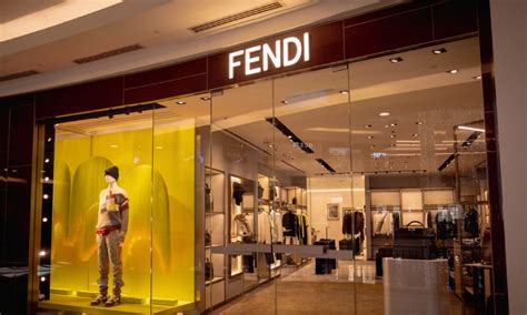 fendi logistica srl|who is fendi owned by.